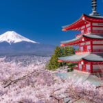 春は保険を見直そう