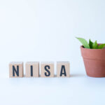 NISAの暴落